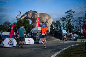 BIB: 
                            <button type="button" onclick="openModal(26541873)" class="btn btn-primary btn-sm float-right btn-popup" data-toggle="modal" data-target=".modal-high-quality">
                        <i class="fas fa-shopping-cart"></i> Add to Cart
                    </button>
                                            <button type="button" onclick="isThisMe(26541873, true)" class="btn btn-success btn-sm float-right btn-popup btn-isme hidden" data-toggle="tooltip" data-placement="bottom" title="นี่คือรูปของคุณใช่ไหม คลิกที่นี่เพื่อเอาเข้าอัลบั้ม">
                        <i class="fas fa-plus"></i> Add to album
                    </button>
                    <button type="button" onclick="isThisMe(26541873, false)" class="btn btn-warning btn-sm float-right btn-popup btn-isnotme hidden">
                        <i class="fas fa-ban"></i> Remove from album
                    </button>